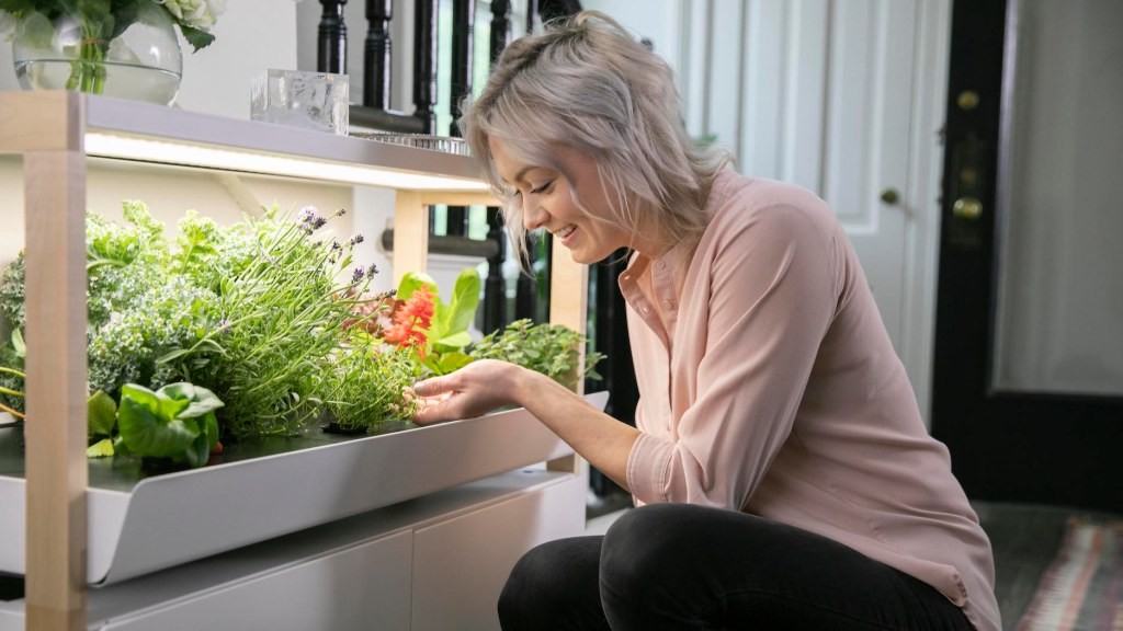 Rise Gardens Secures $9M Series A to Revolutionize Indoor Farming