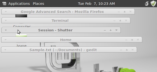 Roll Up Window into Title Bar in Linux Mint 12