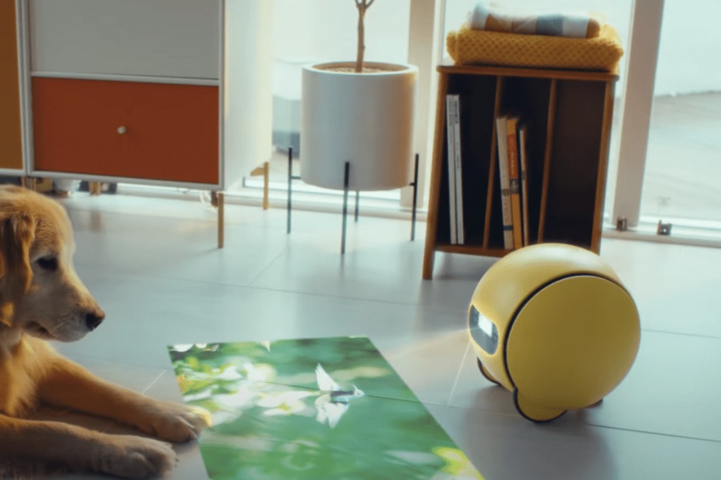 Samsung Ballie Robot Release Date Announced - 2025