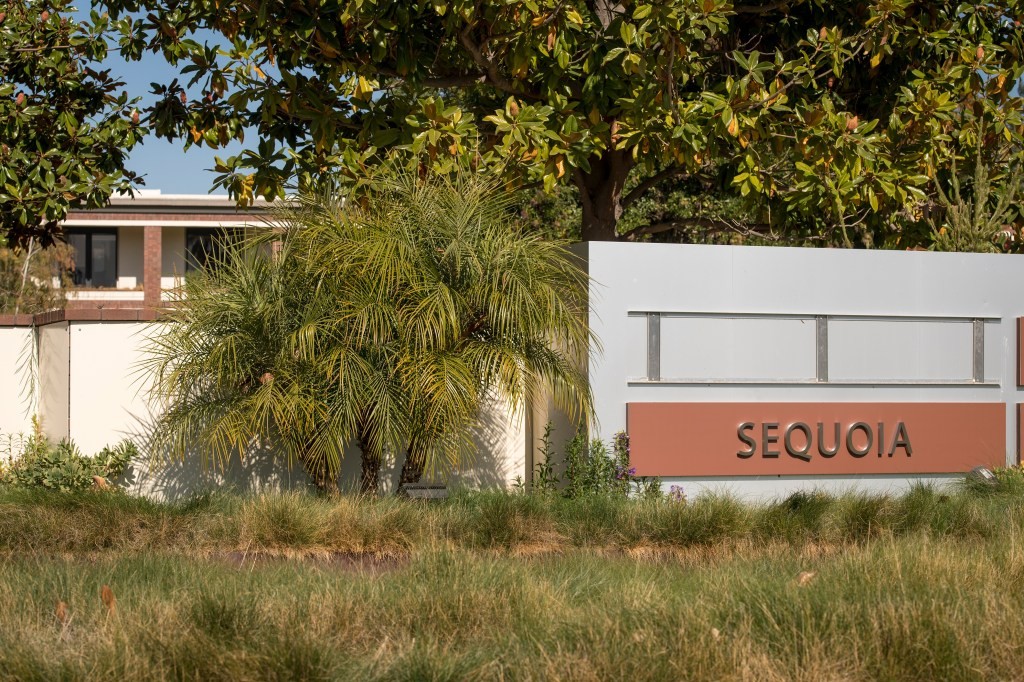 Sequoia Capital India Announces Fifth Surge Startup Cohort