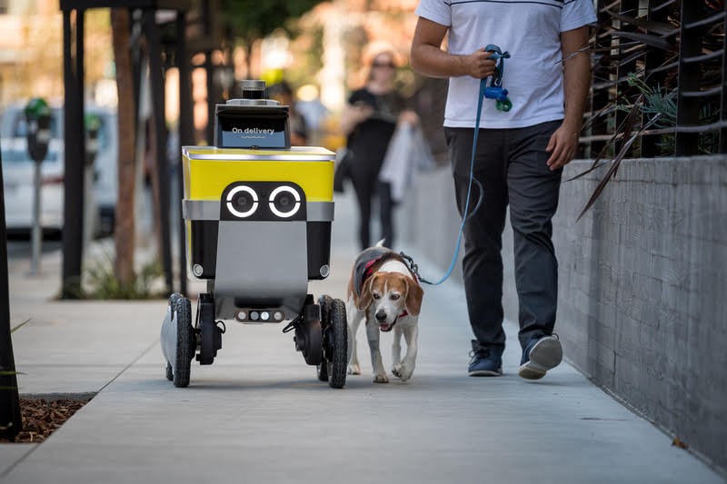 Serve Robotics: Autonomous Sidewalk Delivery Robots