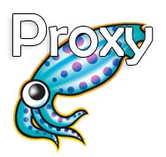 How To Set Up A Proxy Server In Ubuntu Linux