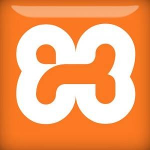 Multiple XAMPP Servers on USB - Setup Guide