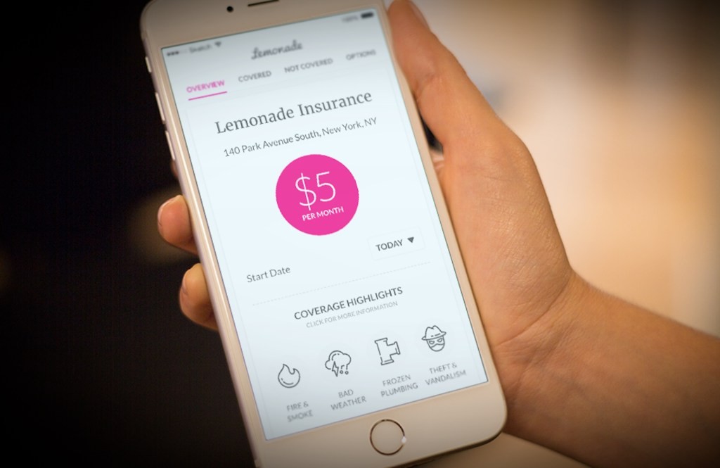 Lemonade Data Breach: Website Bug Exposes Customer Info - Short Seller Report