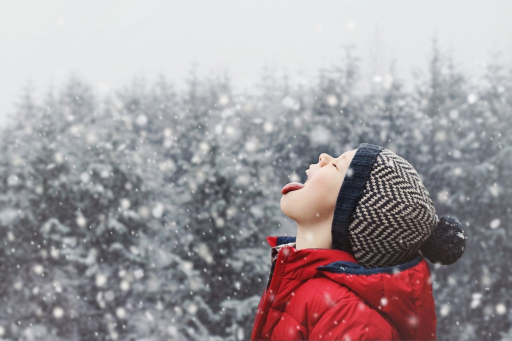 Snowflake Stock Drop: Wall Street Reacts to Earnings