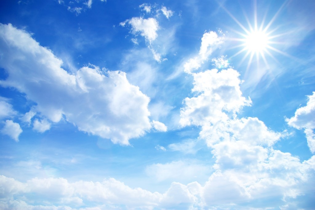 Stripe Climate: Carbon Removal for Businesses