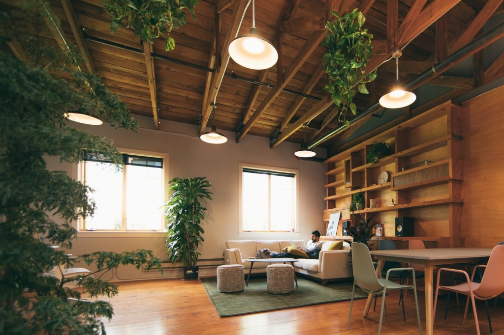 Substack Acquires Cocoon Team - Expanding Social Subscription Features