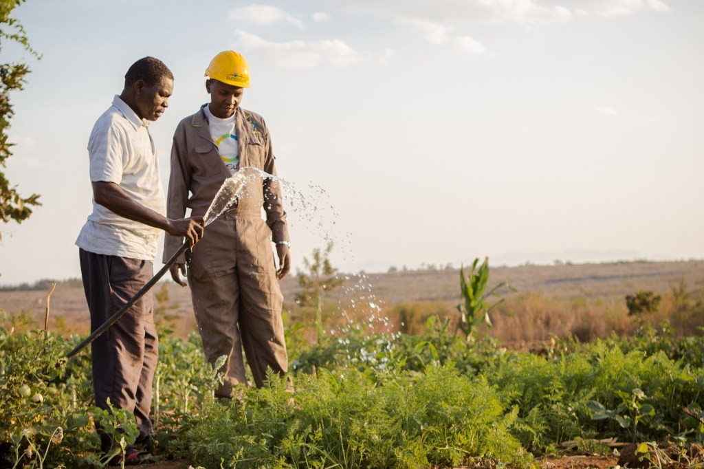 Sunculture: Solar Water Pumps & Africa's Agricultural Future