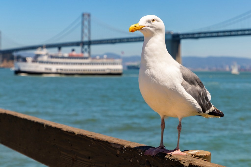 TechCrunch+ Roundup: Midwest VC, CISO Advice, Facebook's Future