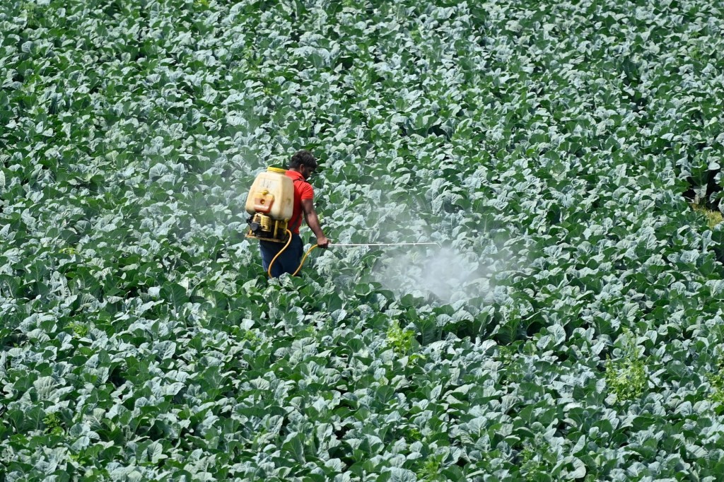 AI-Powered Pesticides: Teen Founders Raise $6M - TechCrunch