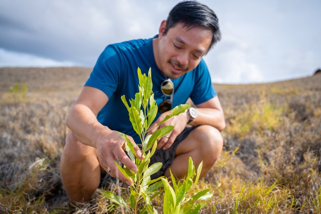 Terraformation Raises $30M for Rapid Reforestation & Climate Action