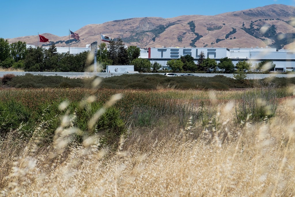 Tesla Megapacks Coming to Texas | Utility-Scale Battery Storage