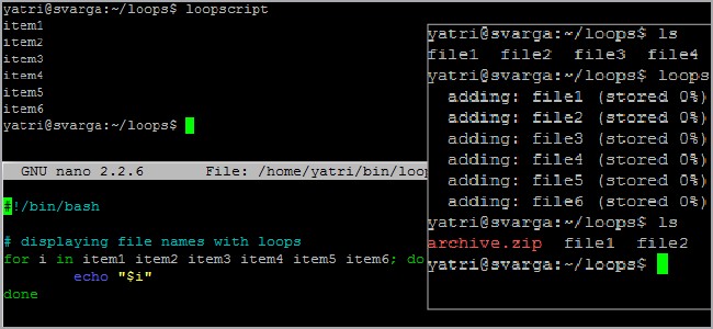 Shell Scripting For Loops: A Beginner's Guide
