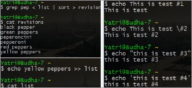 Shell Scripting for Beginners: Advanced Commands & Chains