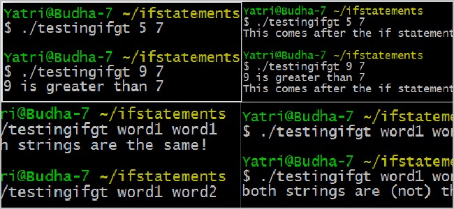 Shell Scripting Conditions & If-Then Statements - A Beginner's Guide