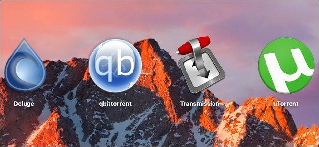 Transmission Alternatives for Mac: Top Picks