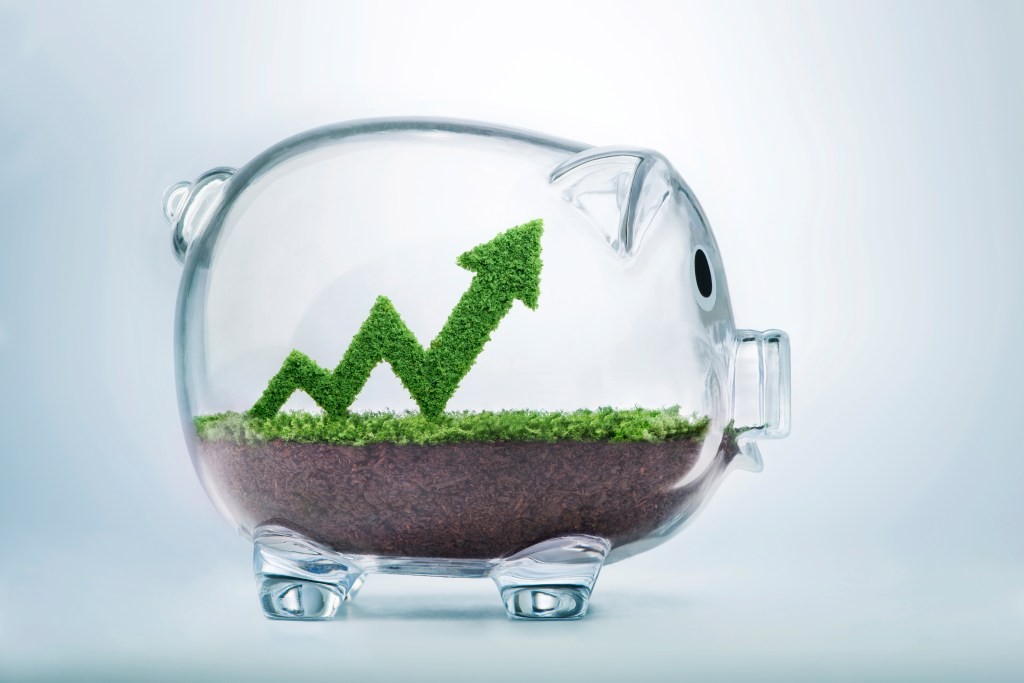 Climate Policies in Budget Package Signal Investors - Analysis