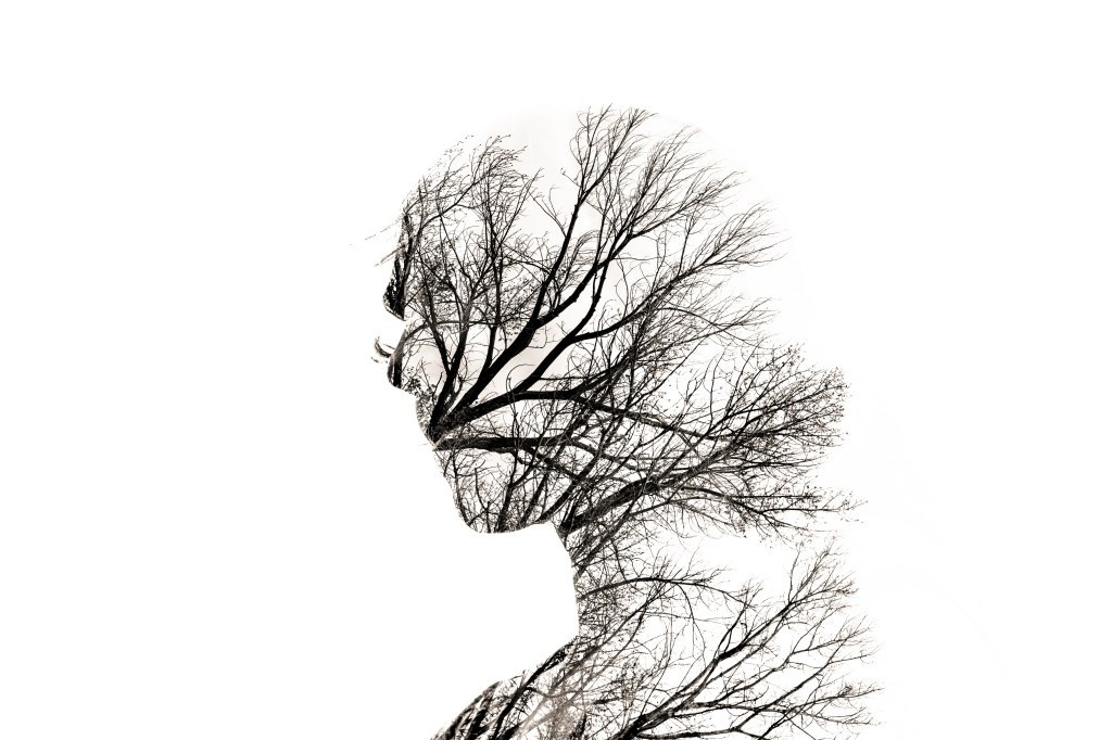 The Dark Side of Environmentalism - Unintended Consequences