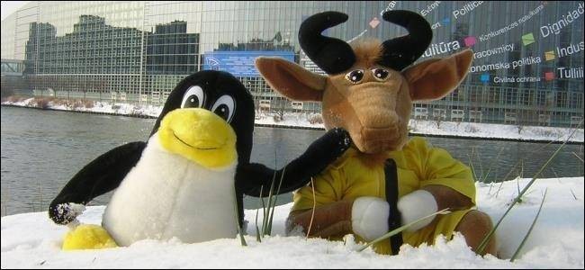 Linux vs GNU/Linux: Understanding the Difference
