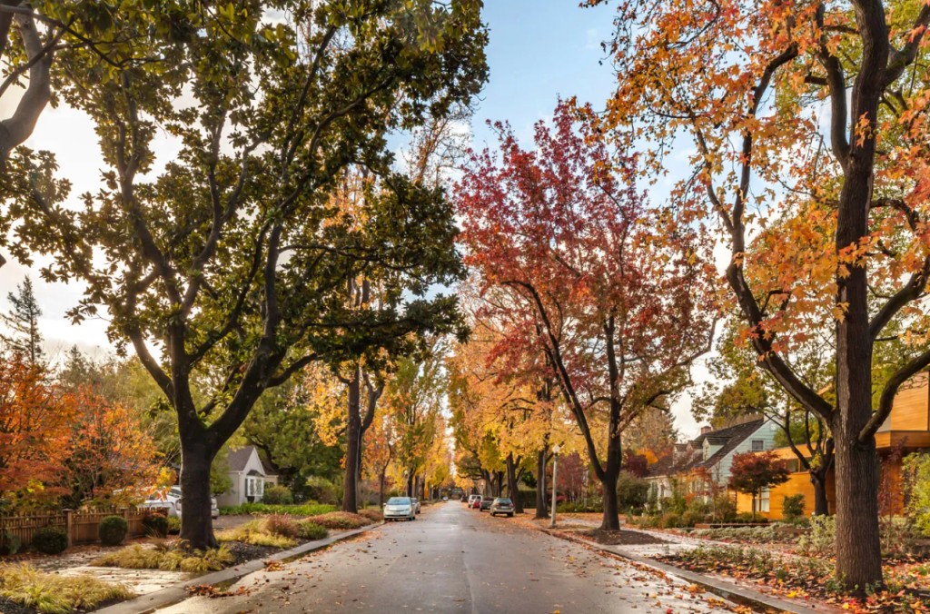 The Real Cost of Living Near Mark Zuckerberg's $110M Compound