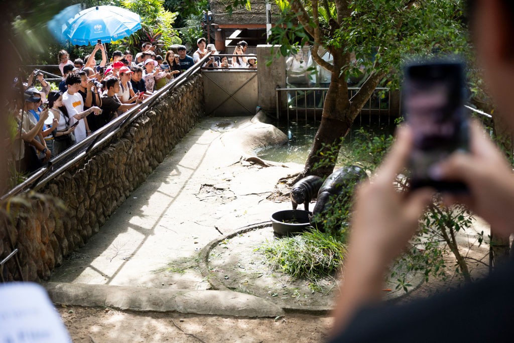 2024's Defining Online Moments - A Year in Review