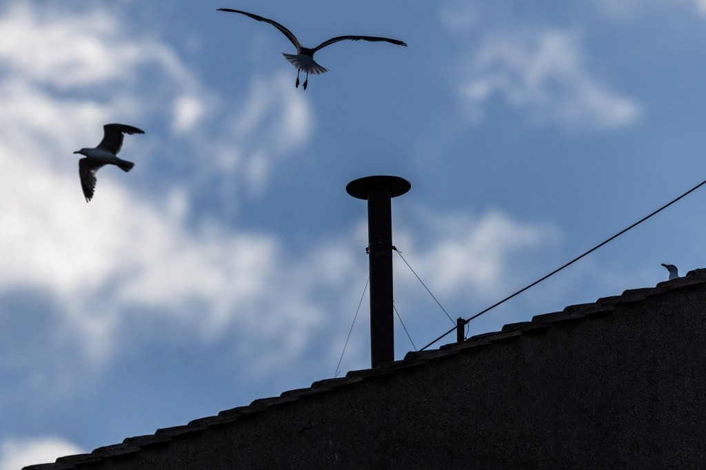 Papal Conclave Cam: The Latest in Slow TV