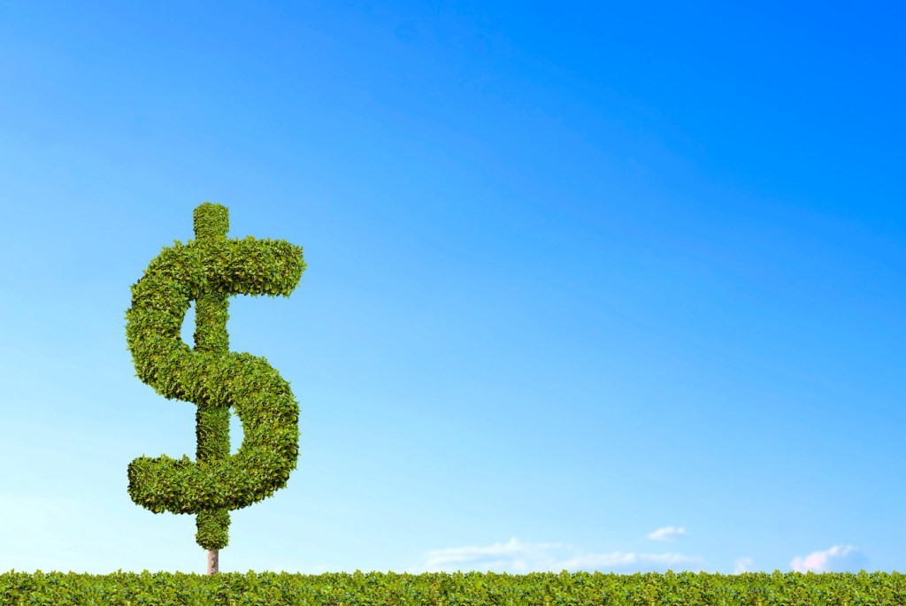 Peculiar Investment Management Industry
