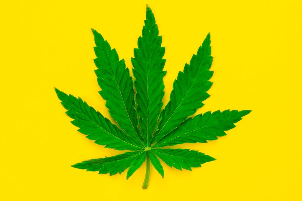 5 VCs Optimistic About Cannabis in 2021