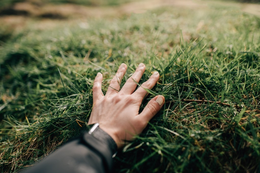 Touch Grass: Limit Screen Time - Get Outdoors!