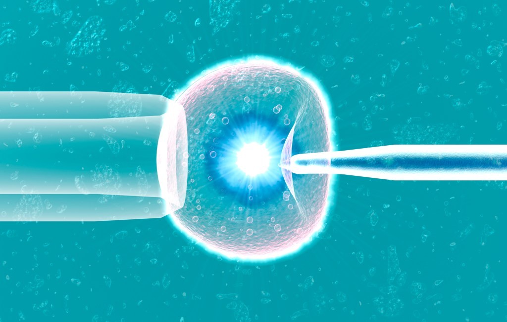 IVF Clarity: Simplifying the Fertility Journey | [Startup Name]