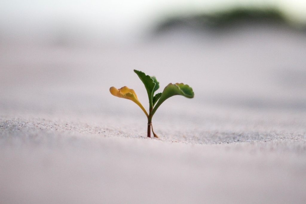 Growth Marketing News & Trends | TechCrunch
