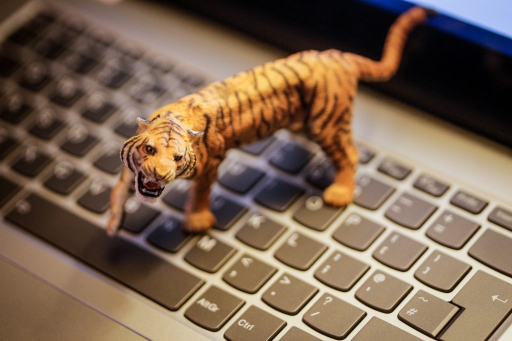TigerGraph Raises $105M Series C for Enterprise Graph Database