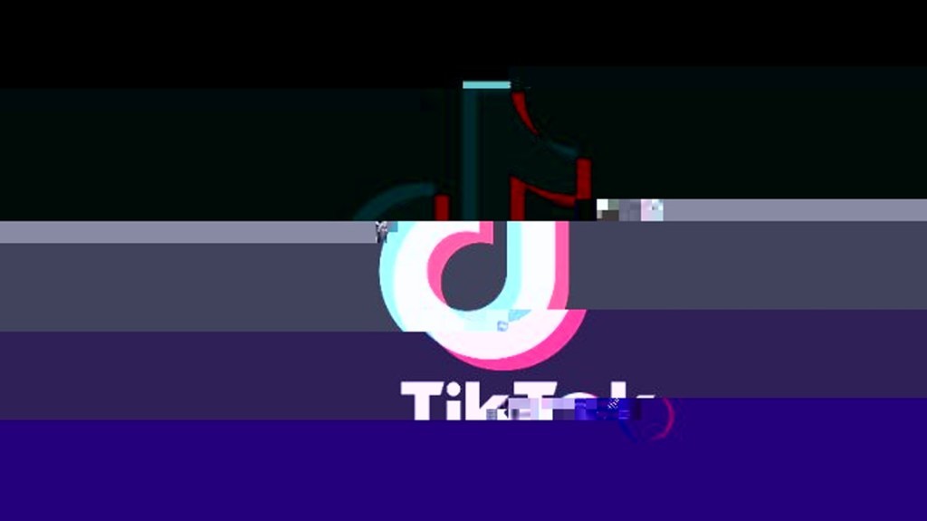 TikTok and Election Misinformation: Hashtag Removal - A Mixed Approach