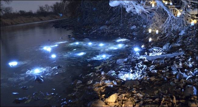 DIY Waterproof LED Lights - Perfect for Summer Parties