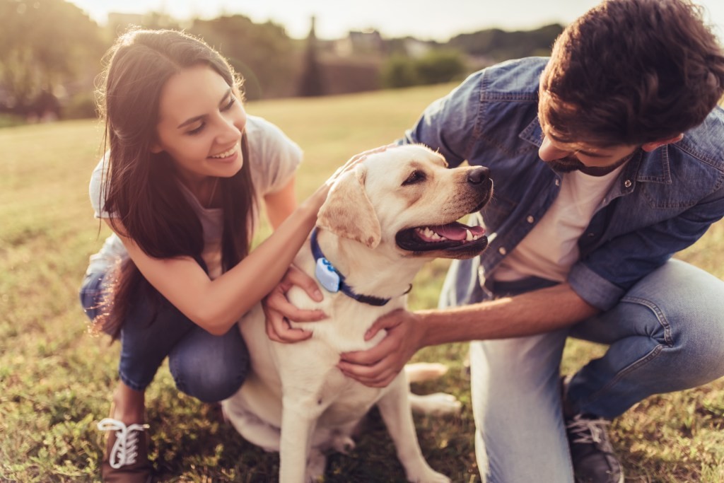 Tractive Raises $35M to Expand GPS Pet Tracking to the US