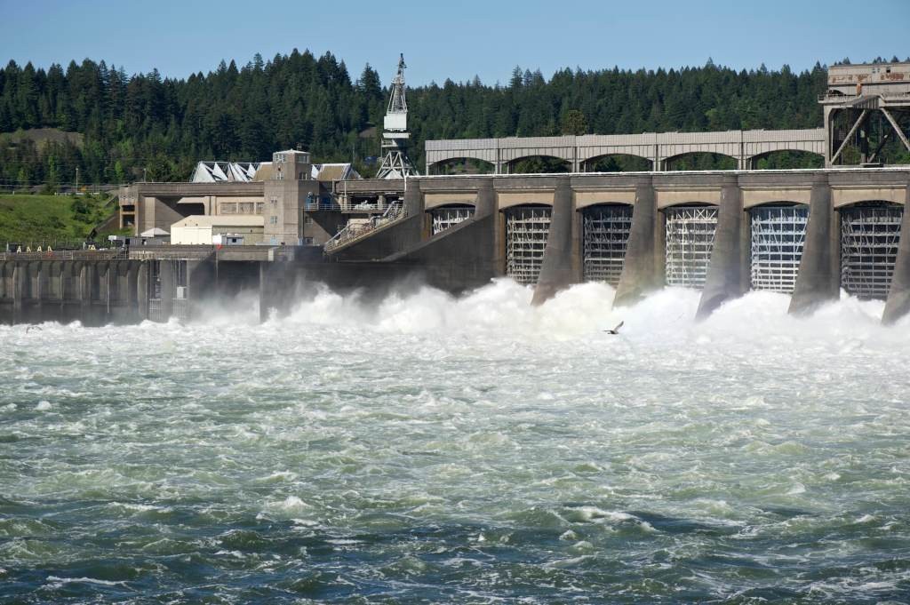 Trump Admin Reverses Hydropower Layoffs, Addressing Grid Stability