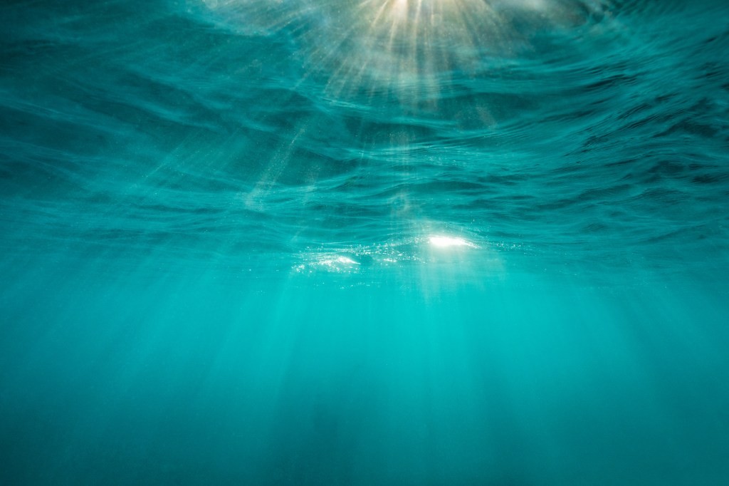 Deep-Sea Mining & the Trump Administration | Critical Minerals