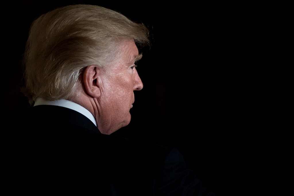 Trump Fires Copyright Office Director Amid AI Training Concerns