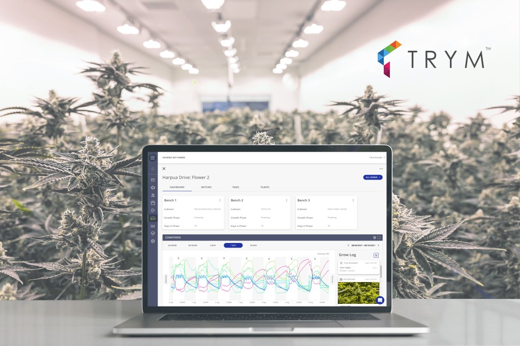 Trym Adds Crop Steering to Cannabis Platform | Trym