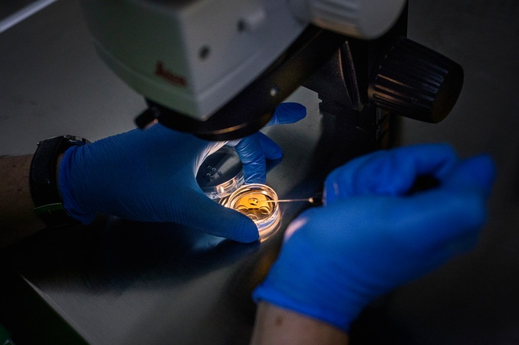 US Fertility Data Breach: Patient Information Stolen in Ransomware Attack