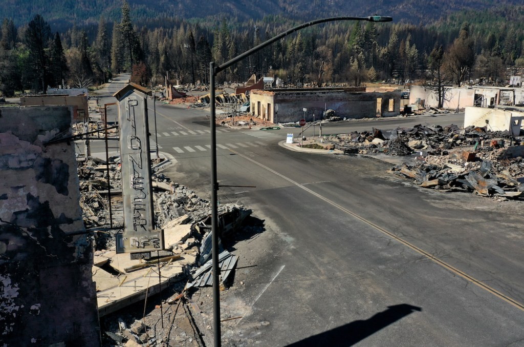 Tech for Vegetation Management After the Dixie Fire | Wildfire Prevention
