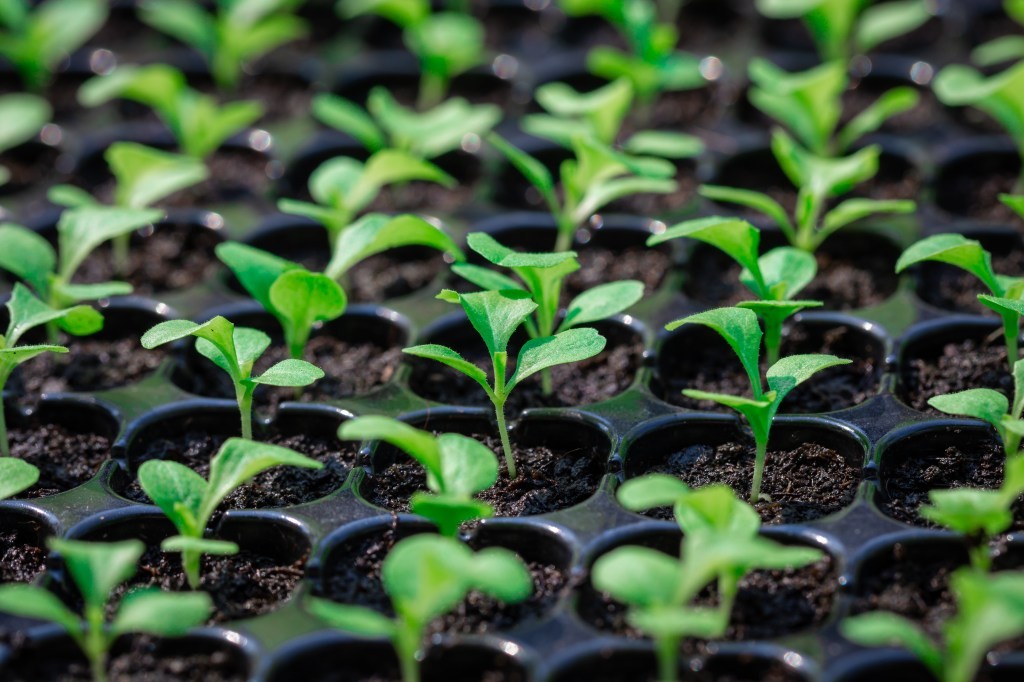 Free Fund Formation Documents for Startups - VC Lab