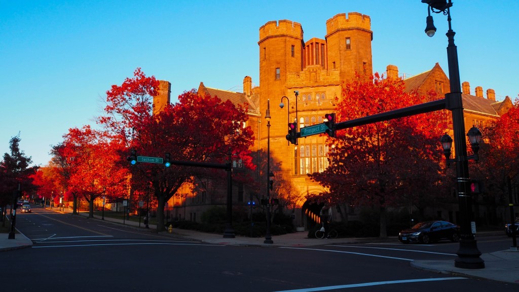 Venture Capital & University Endowments: A Call for Diversity