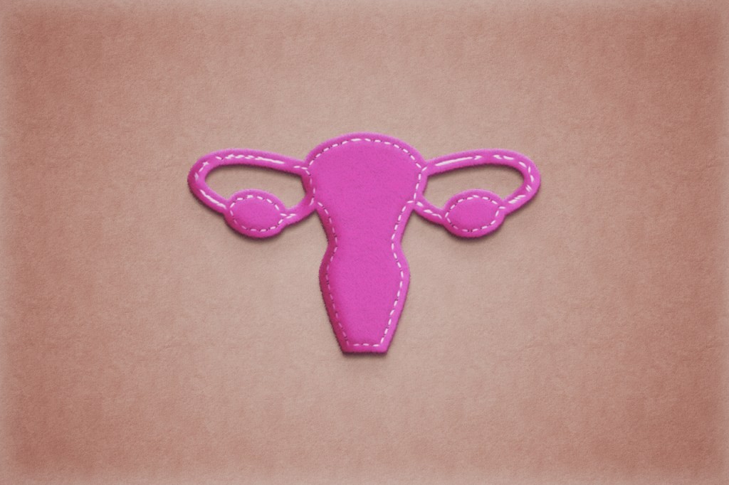 Hey Jane Raises $2.2M to Expand Abortion Access
