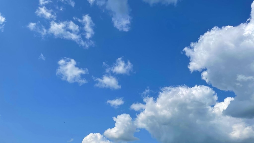 Waffles, Bluesky, and Delicious Eats