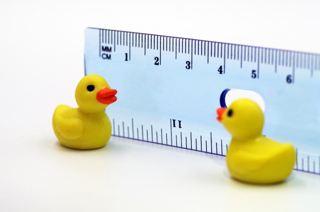 Walking Duck - News from the Center