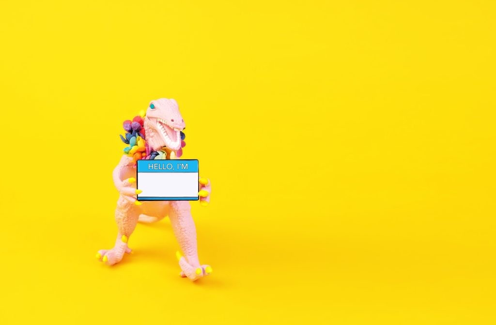 Startup Naming Lessons: 30+ Startup Experiences