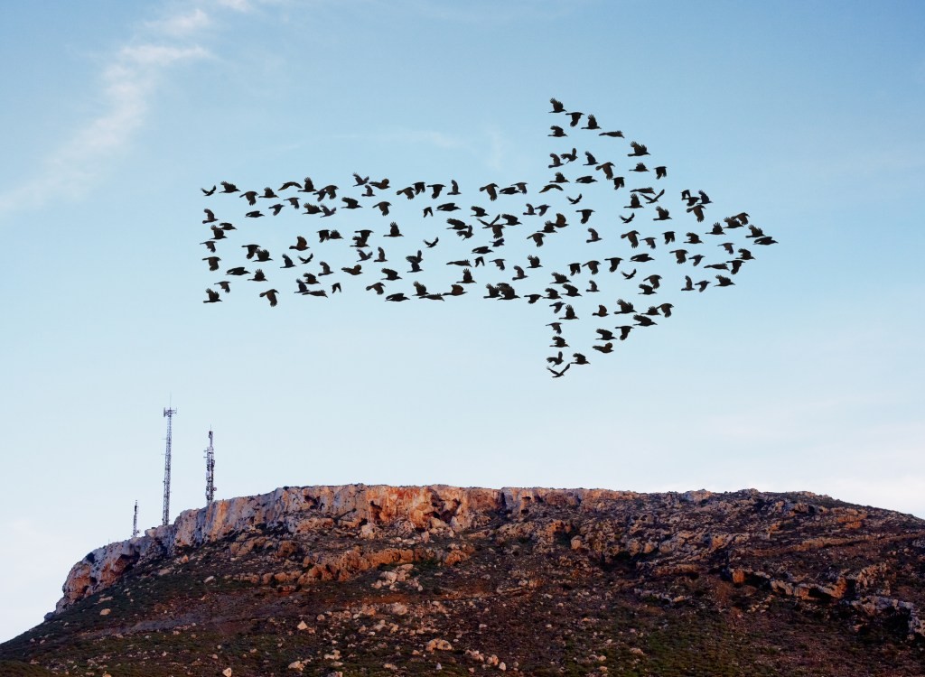 5 Years of Startup Stock Investing: Lessons Learned