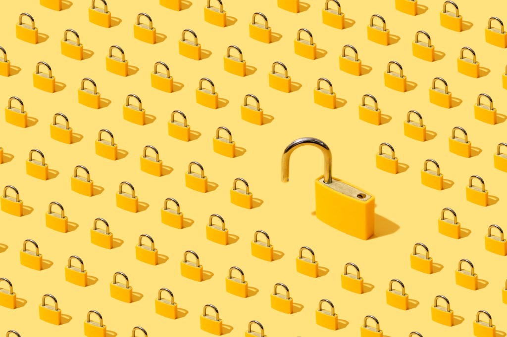Encryption Backdoor: What Is It & How Does It Work?