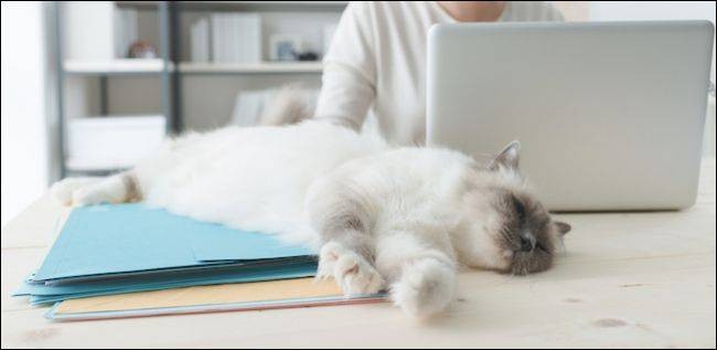 Power Nap in macOS: A Comprehensive Guide